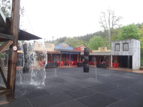 DSC09607.jpg