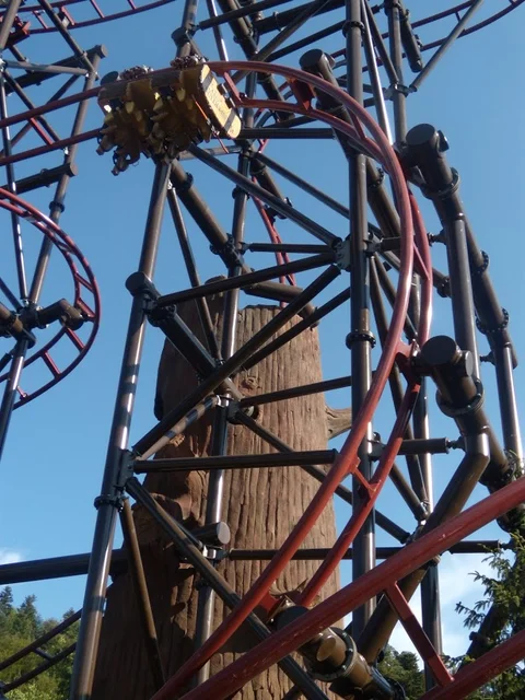 Timberdrop-attraction-19