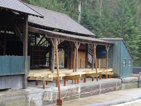 DSC01449.jpg