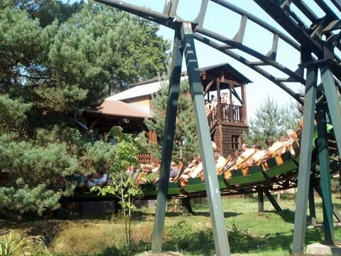 trg vert12