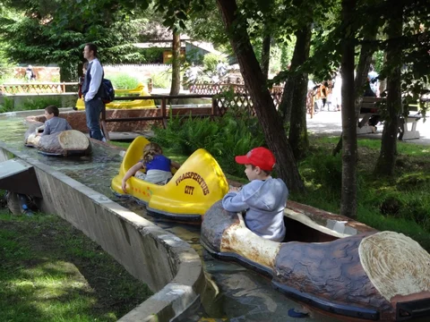 DSC00229