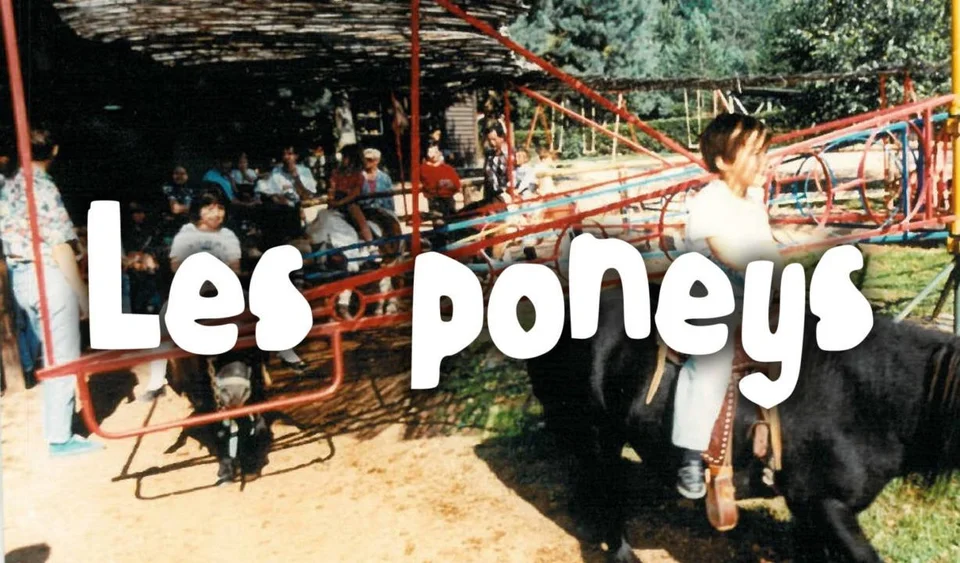 poneys
