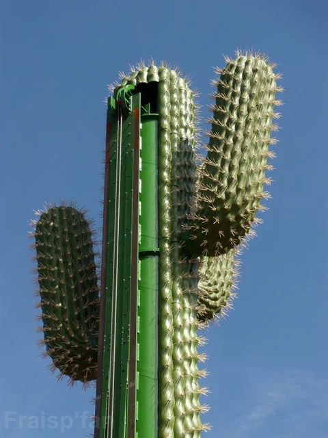 le_cactus_-_attraction_-_297
