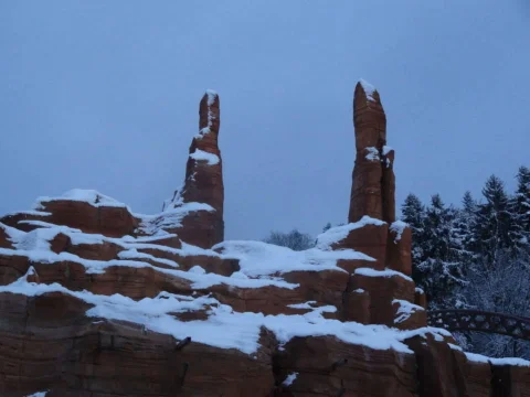 DSC01820.jpg