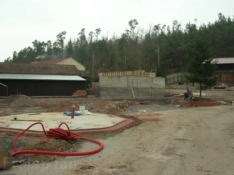 le_cactus_-_construction_-_350