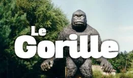 Vignette-gorille.jpg