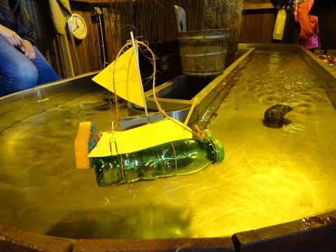 DSC04487