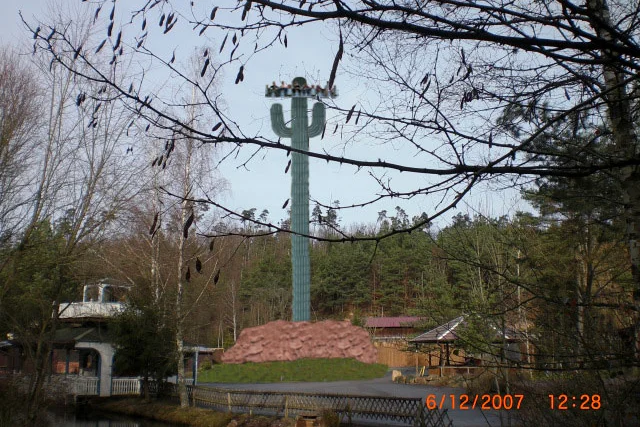le_cactus_-_construction_-_080