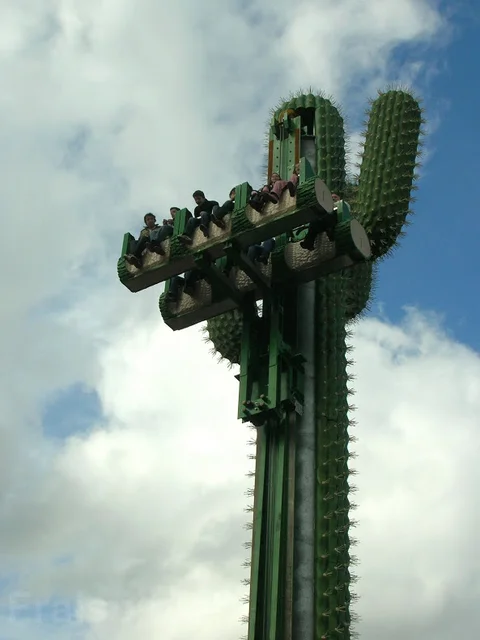 le_cactus_-_attraction_-_300