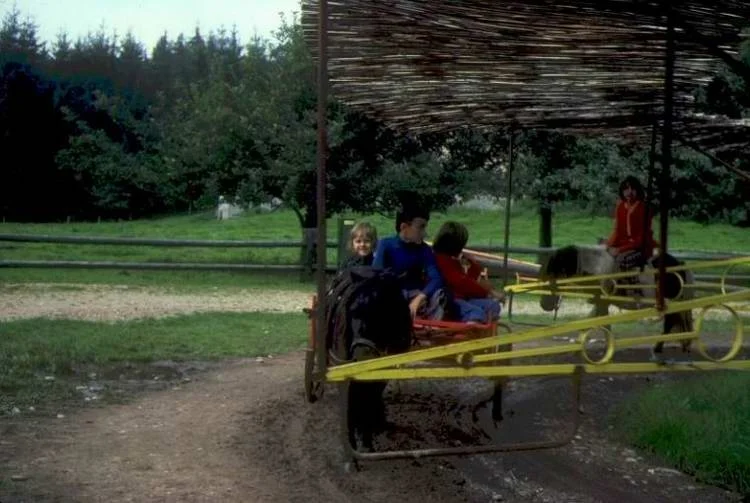 Image-01