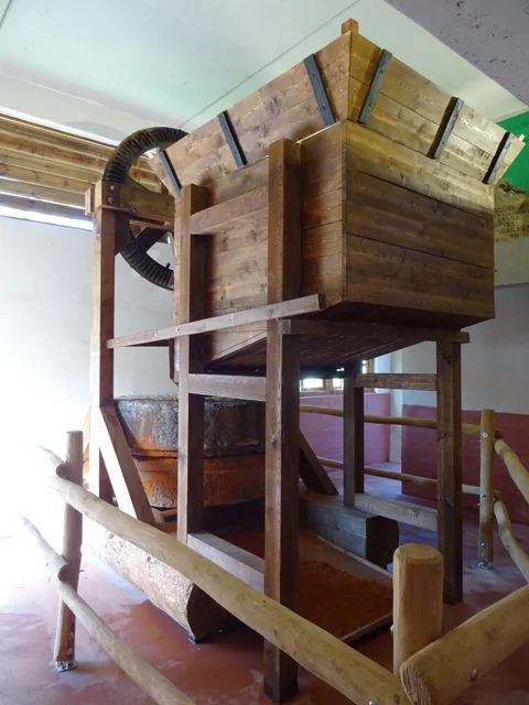 DSC06693-rotated.jpg