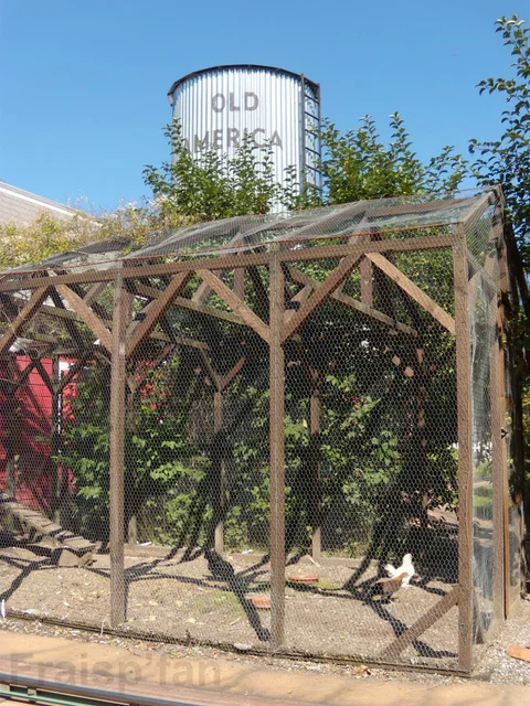 old_america_-_attraction_-_430