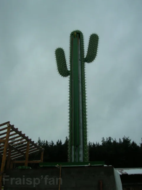 le_cactus_-_construction_-_441