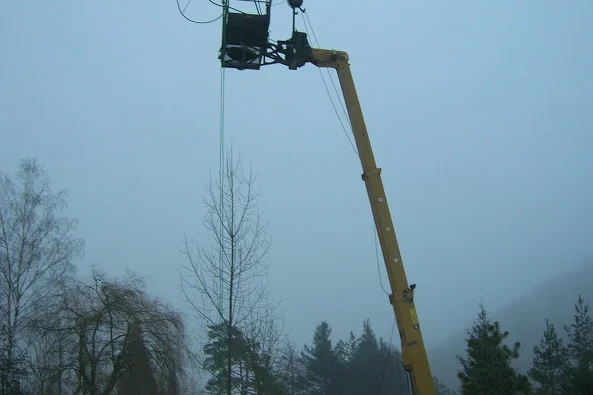 le_cactus_-_construction_-_205