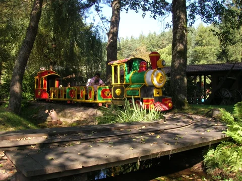DSCN9529