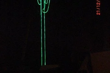 le_cactus_-_construction_-_209