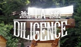diligence_full-e1645189453136.jpg