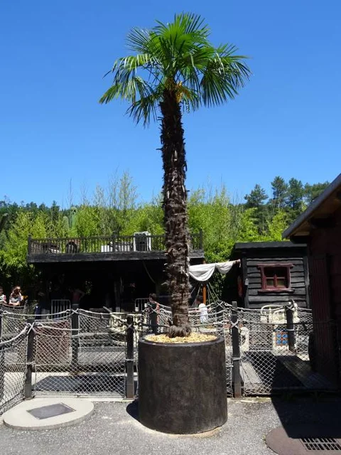 DSC06230.jpg