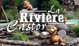 Vignette-Riviere-Castor.jpg
