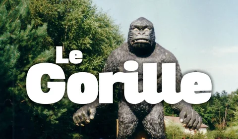 gorille.jpg