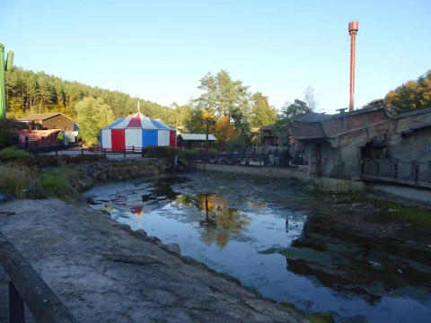 DSC08217.jpg
