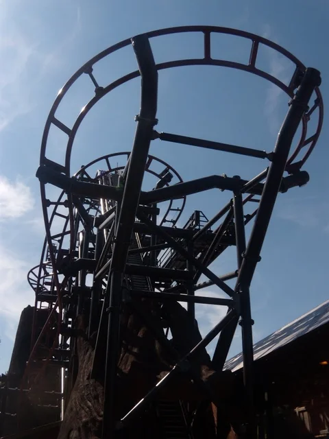 Timberdrop-attraction-16