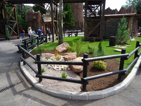 DSC06012.jpg