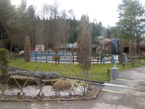 DSCN7984.jpg