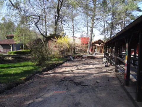DSC05178.jpg