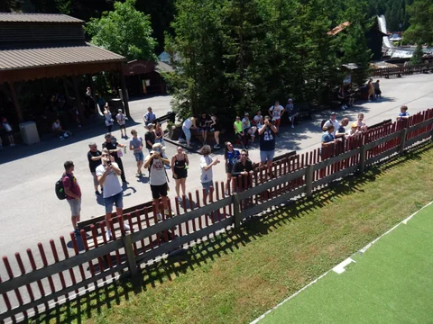 DSC06469