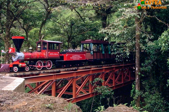 Trainforest