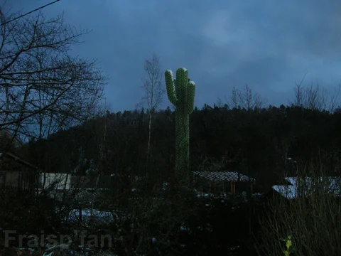 le_cactus_-_construction_-_450