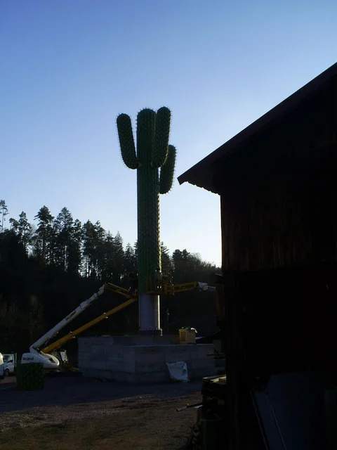 le_cactus_-_construction_-_410