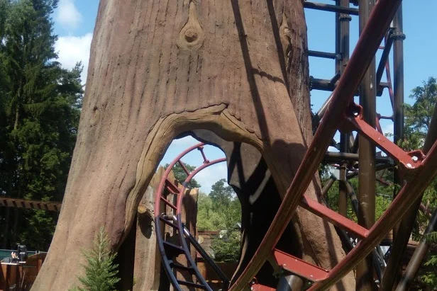 Timberdrop-attraction-07