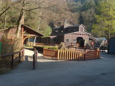 DSCN9995.jpg
