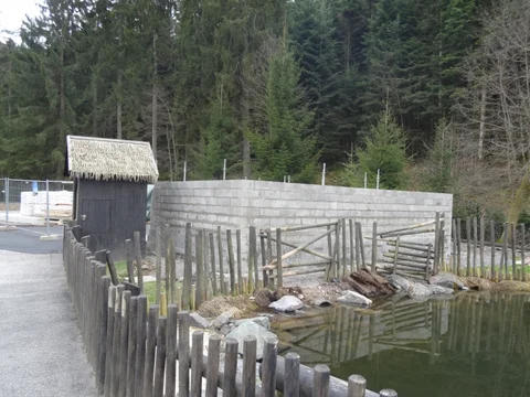 DSC03079