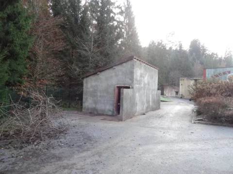 DSC06263.jpg