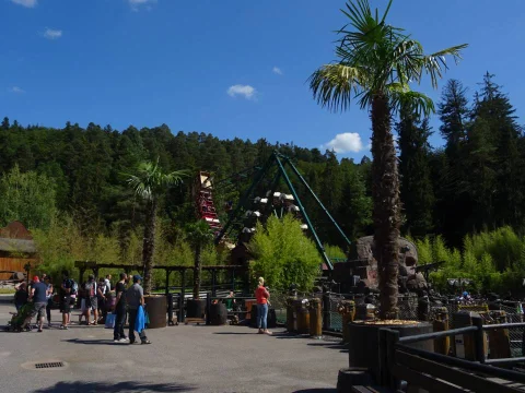 DSC06334.jpg