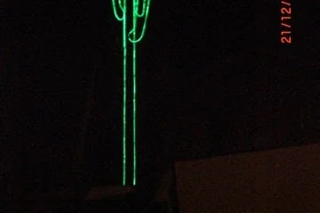 le_cactus_-_construction_-_208