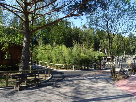 DSC01996.jpg
