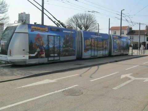 photo.jpg
