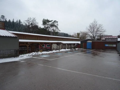 DSC00904.jpg