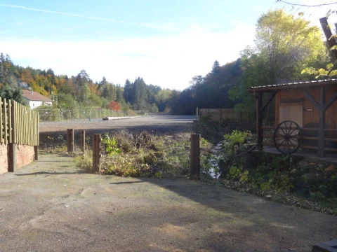 DSC08650.jpg