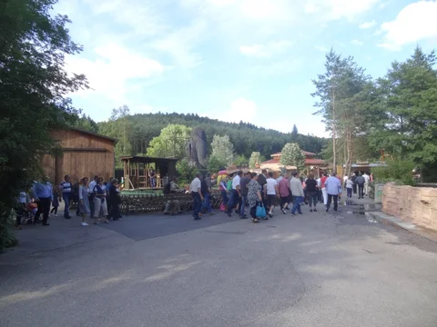 DSC02431