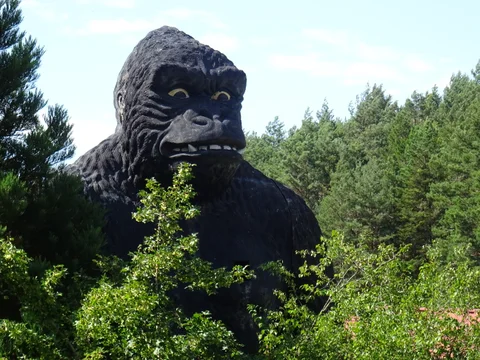 DSC07461-scaled.jpg